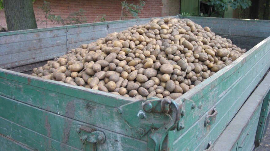 BiH: Zabranjene aktivne tvari u sredstvima za zaštitu bilja - na listi i klorprofam