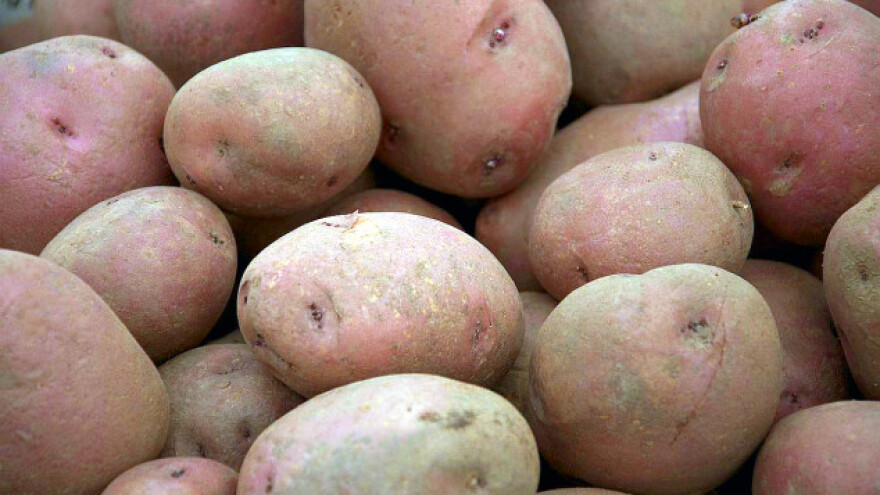 Uvoz guši proizvođače krompira u Srbiji