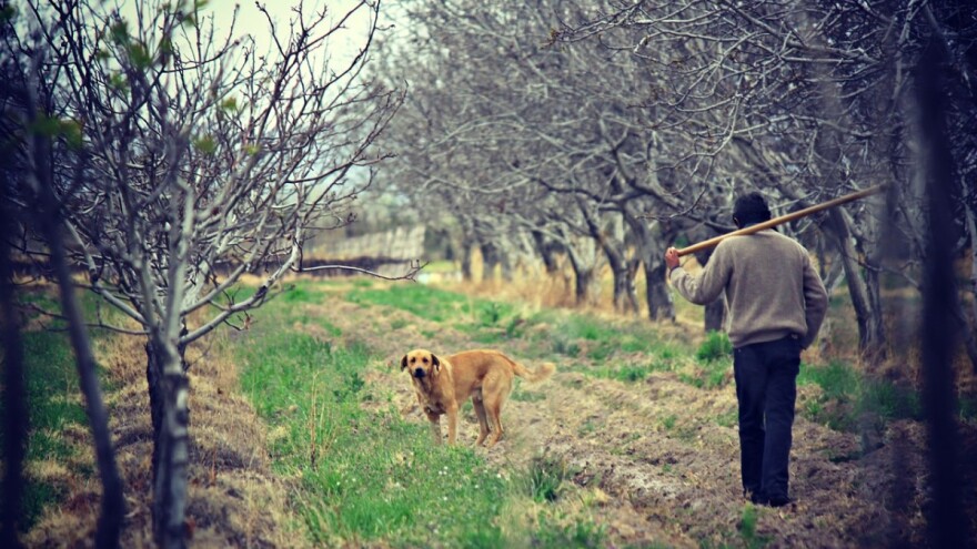 Ništa od poticaja u Federaciji BiH, budžet neće biti usvojen?