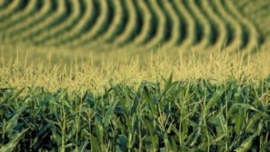 Krenula isplata poticaja za 2011. godinu