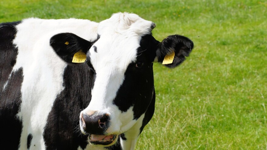 Poticaji federalni i kantonalni - glavna tema sastanka Dedića i kantonalnih ministara