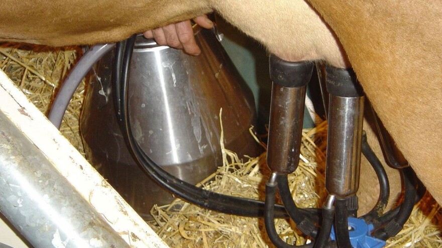 Novac za dva kvartala je na računu, čekaju se obračuni iz kantona