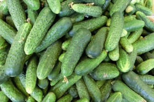 Odobrena sredstva poticaja na području Zeničko-dobojskog kantona