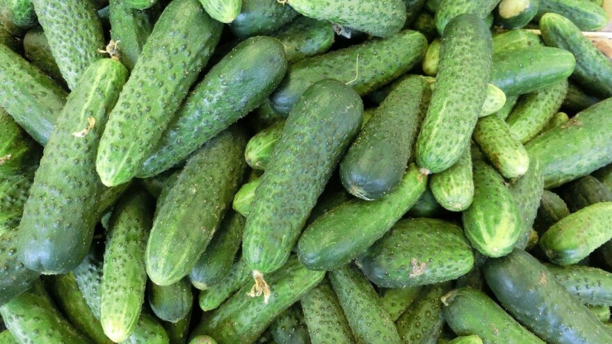 Odobrena sredstva poticaja na području Zeničko-dobojskog kantona