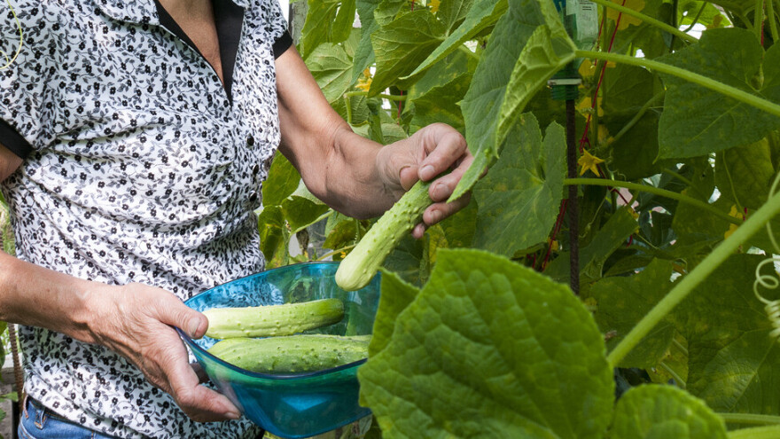 Za 900.000 KM podsticaja prijavilo se 430 poljoprivrednika