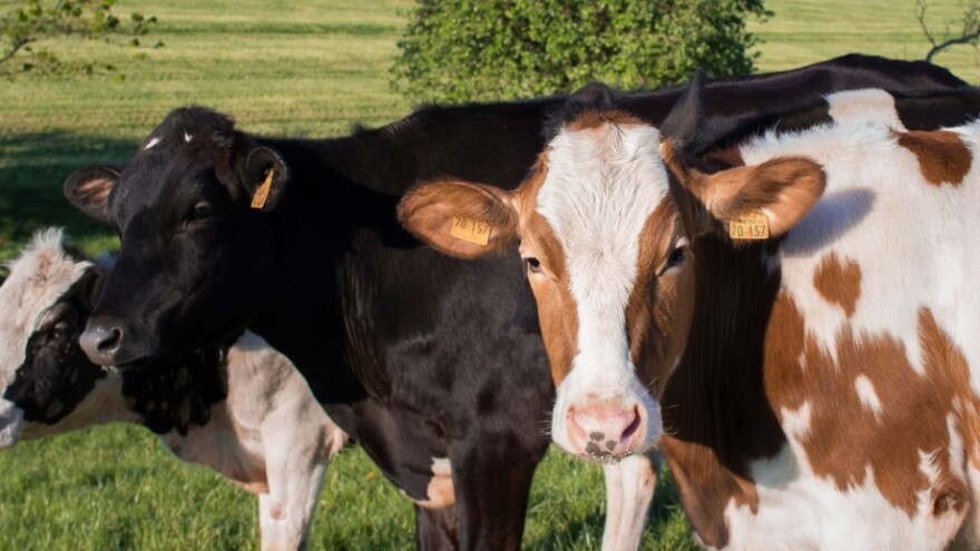 Za poticaje poljoprivredi 58.200.000 KM - usvojila Federalna vlada