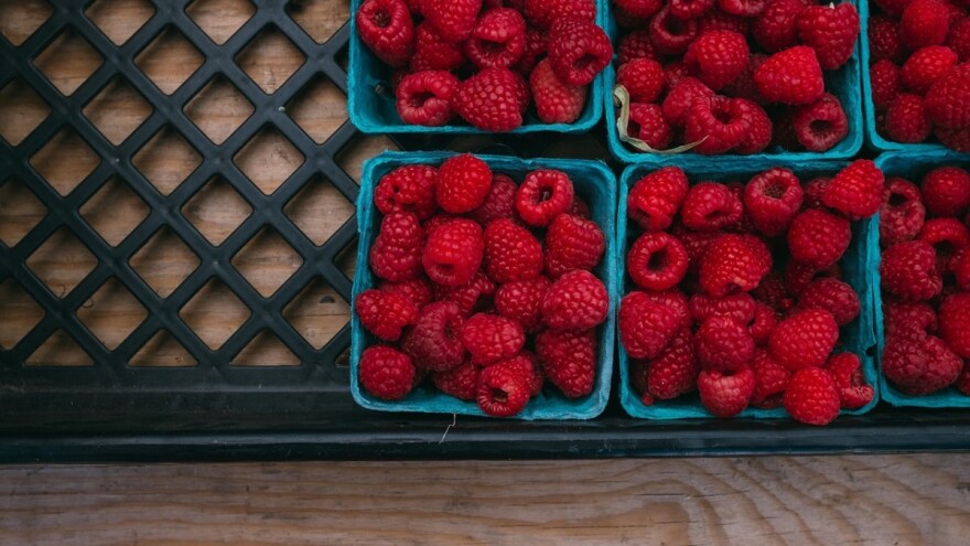 Smanjili poticaje za malinare - ne možete se žaliti!