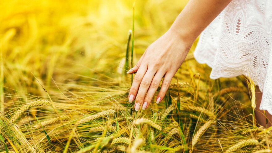 Predani zahtjevi za 4,3 miliona KM poticaja