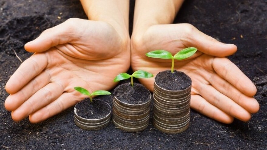 Našli izlaz iz labirinta i ušli u šumu