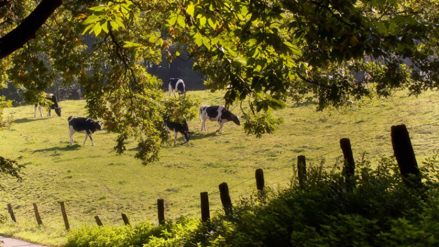 Isplaćeno 5.309.505 KM za podsticaje