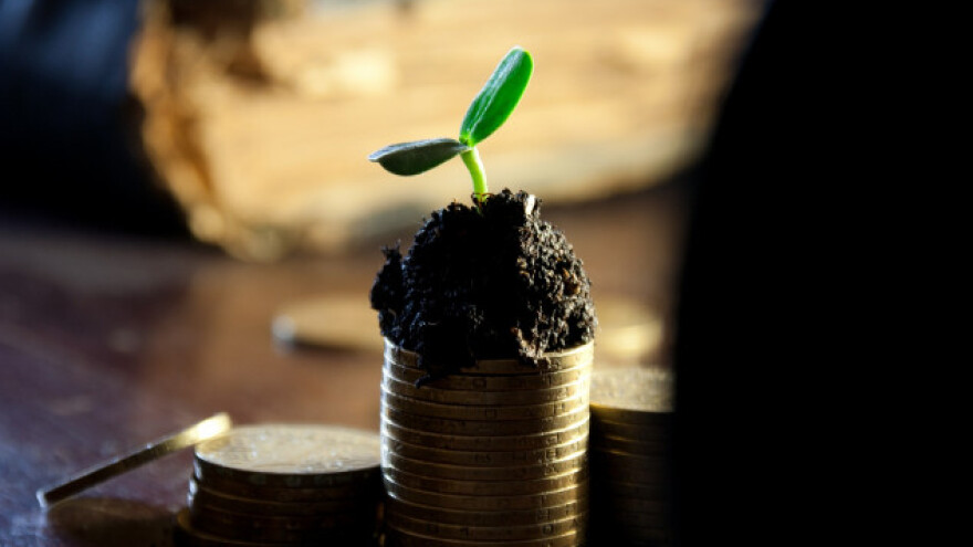 Aktuelni poticaji poljoprivrednoj proizvodnji ZE-DO kantona