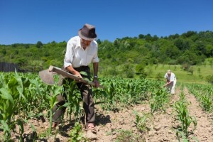 Kakvi poticaji očekuju farmere u BiH?