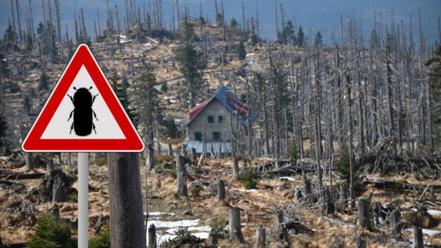 Mali kukac i nemar doveli do elementarne nepogode