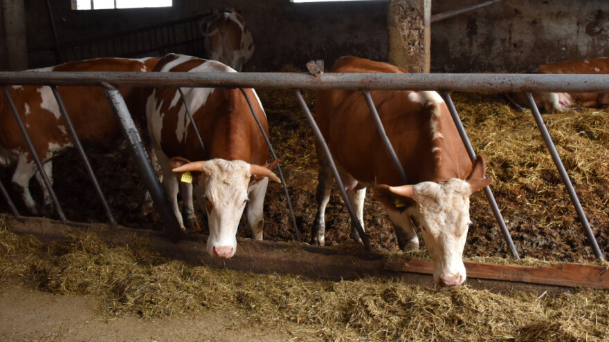 Podnesite zahtjev za podršku po modelu ruralnog razvoja