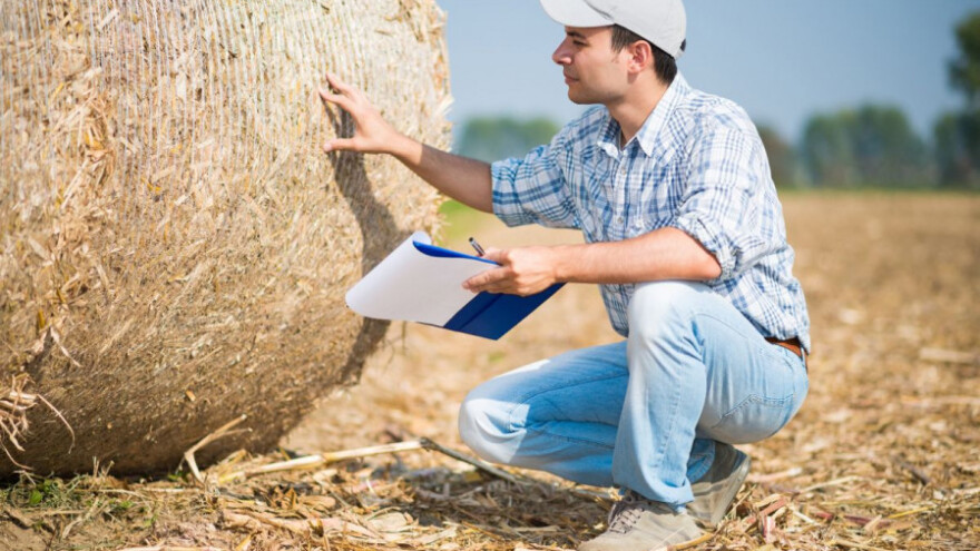Petak zadnji dan za podnošenje zahtjeva za potpore