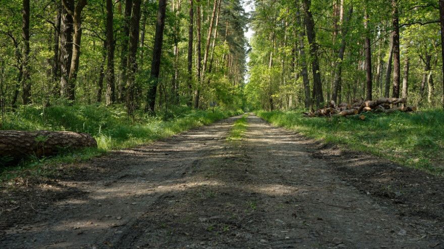 37,5 milijuna kuna za šumsku infrastrukturu