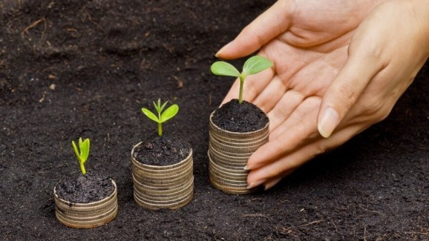 Još sutra se podnose zahtjevi za izravna plaćanja!