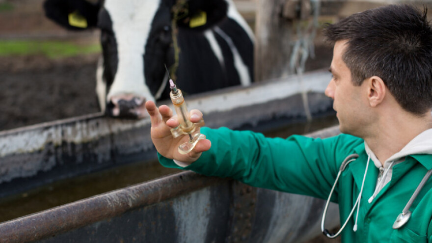 Proizvođačima mlijeka isplata 19,7 milijuna kuna potpore