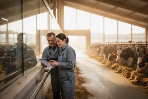 Potpore proizvođačkim organizacijama