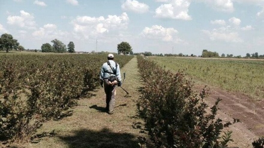 Čemu proizvodnja kada imamo uvoz?