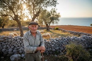 Potpore samo "europskim" pašnjacima