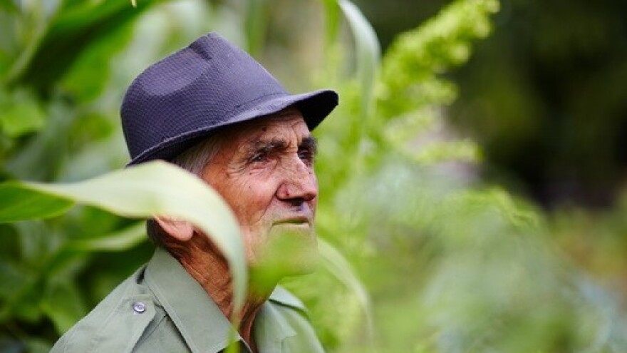 176 najvećih odnijelo četvrtinu potpora!
