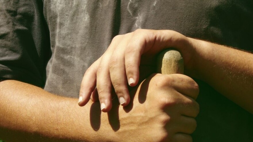 Do 2018. iznos poticaja i do 380 eura po hektaru!