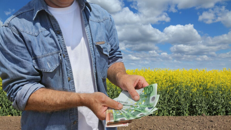 Brexit će uzrokovati smanjenje potpora farmerima