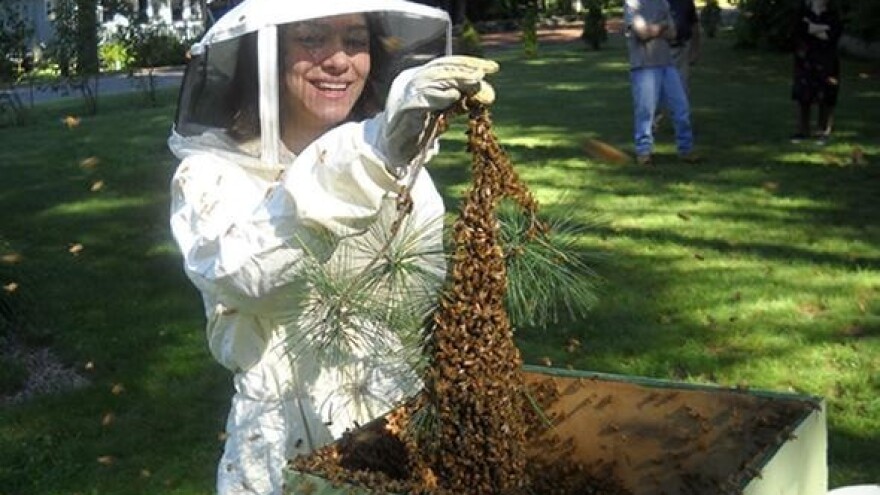 Pčelari izgubili 10 milijuna kuna potpora?