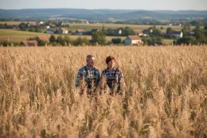 Potraga za tržištem miskantusa na OPG Blažević
