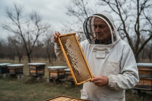 Potražnja meda sve veća a smanjena proizvodnja