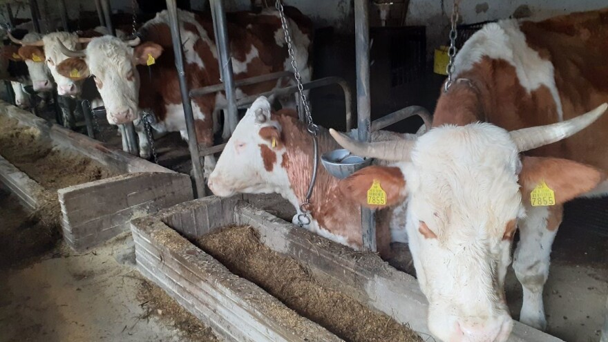 Pakirni centar i redovan otkup - pomoć poljoprivrednicima sa stradalih područja