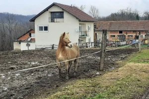 Preliminarni podaci: Štete od potresa ima gotovo 2.100 PG-ova