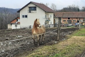 Preliminarni podaci: Štete od potresa ima gotovo 2.100 PG-ova