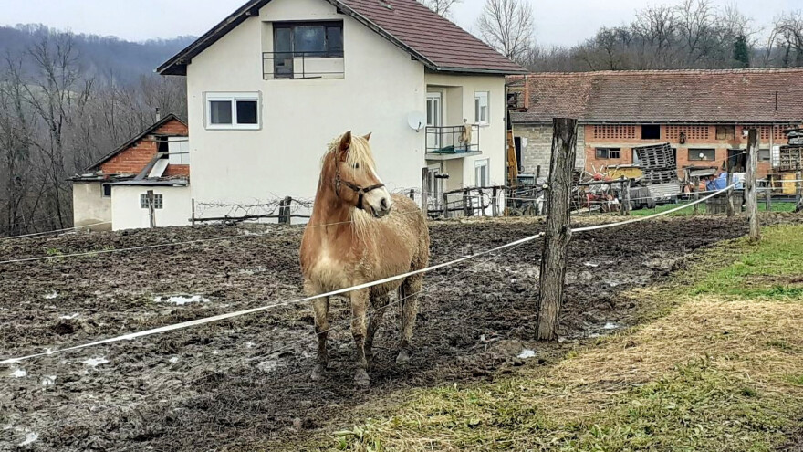 Vučković: Nemojte prodavati svoje blago, hrane i smještaja je dovoljno