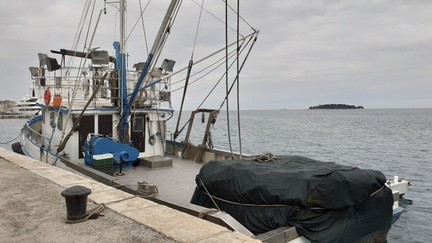 Potrošnja od 20 kilograma ribe po stanovniku godišnje svrstala nas je na 16. mjesto u EU