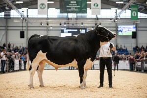 Potvrđena izvrsnost uzgojno-selekcijskog rada centra