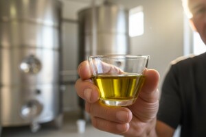 Potvrđena kvaliteta ulja hrvatskih maslinara