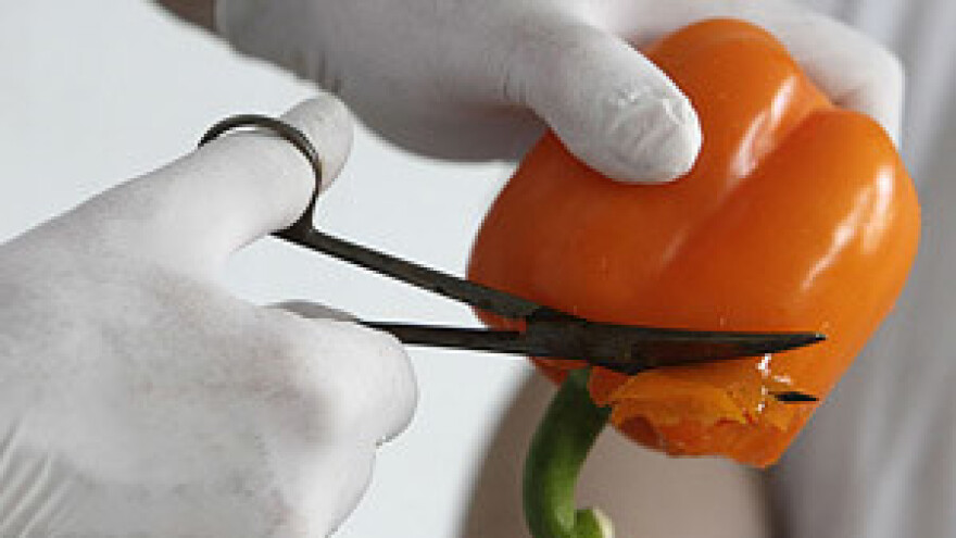 Zatrovano poljoprivredno zemljište na Kosovu