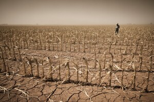 Povijesna suša u SAD-u, cijene hrane naglo porasle u cijelom svijetu