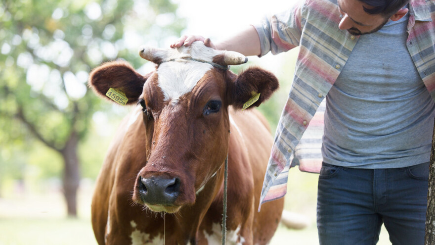 Marko Škero se sa 22 godine vratio na djedovinu i sada je jedini stavnovnik trebinjskog Desina Sela