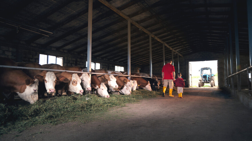 Esnaf Salihović: Presudni trenutak bio je kada sam kupio traktor od ušteđene invalidnine