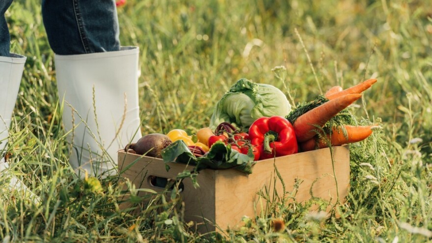 Bliži se 9. konferencija "Hrvatsko povrće", ove godine u Varaždinu