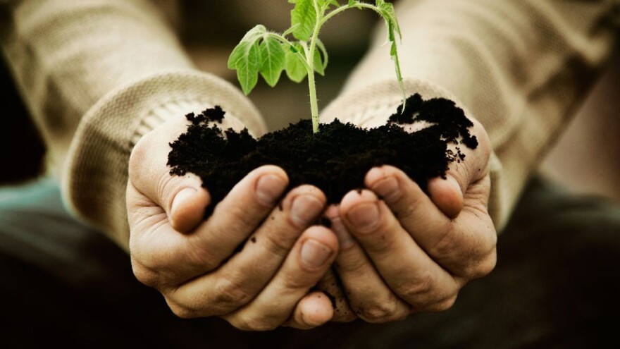 Kakva su predviđanja povrtarske proizvodnje u 2018. godini?