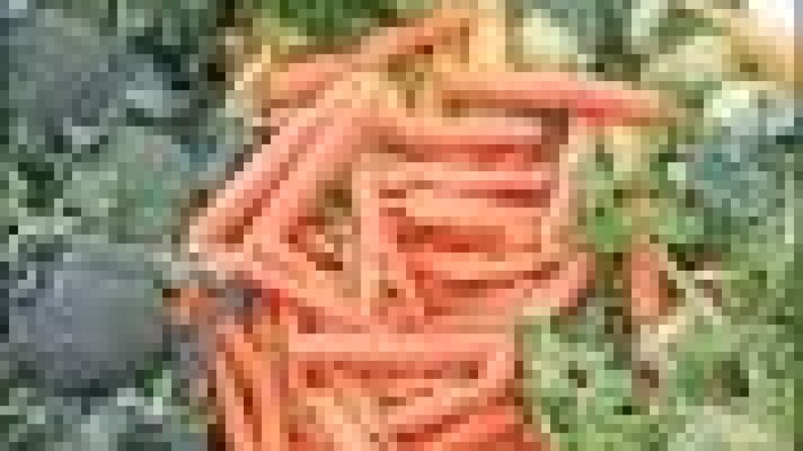 Povrće jeftinije, sirovo mlijeko skuplje