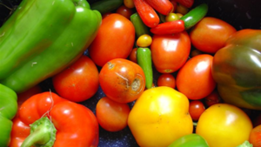 Dan povrća Koprivničko-križevačke županije