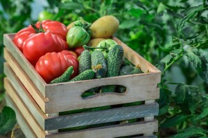 Treba im manje od dva sata da otkriju pesticide u povrću