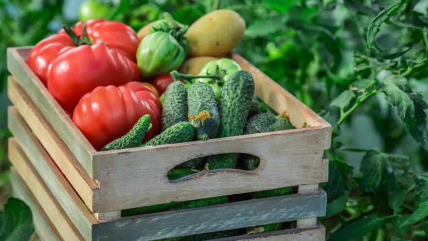 Pesticidi u povrću se otkrivaju za dva sata