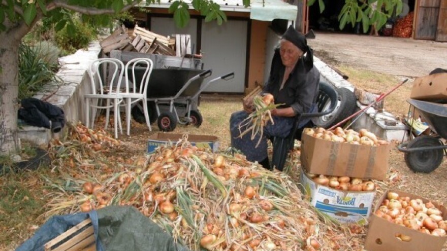 Za proizvodnju povrća 1,5 milijuna kuna