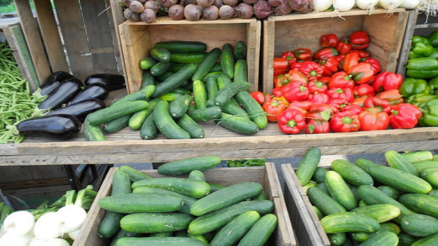 Izvoz povrća  - neiskorišćen potencijal Srbije